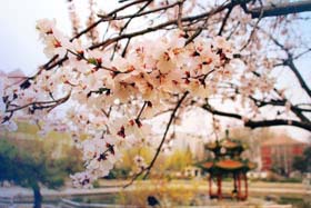 2019MBA聯(lián)考，你難道要放棄么？ ————北京交通大學(xué)“MBA聯(lián)考提分有招”系列活動全面啟動