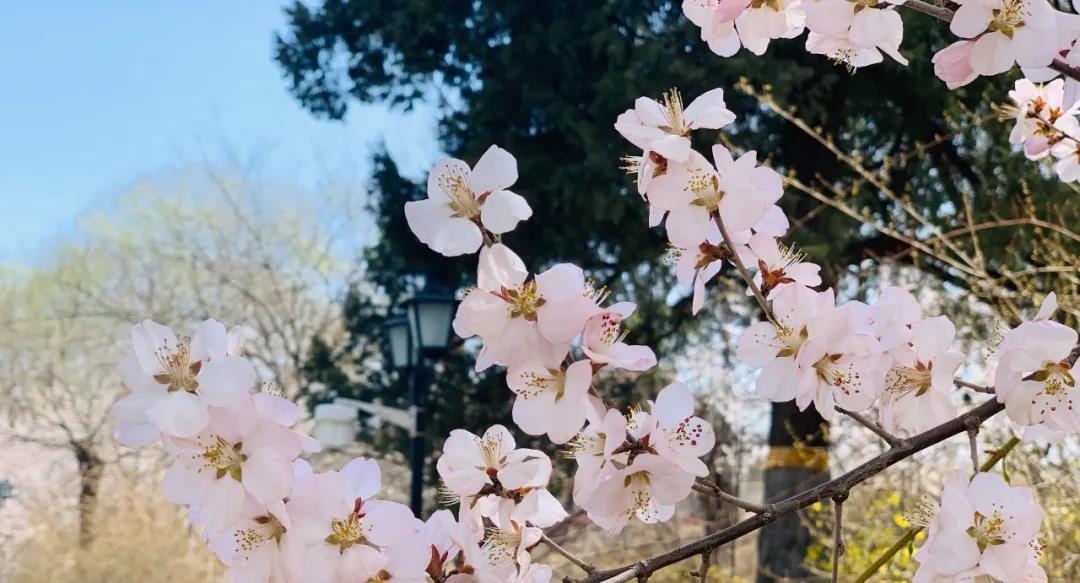 3.27 講座預(yù)告| 北大國發(fā)院楊壯：VUCA時(shí)代企業(yè)家和職業(yè)人應(yīng)具備的能力素質(zhì)（北京）