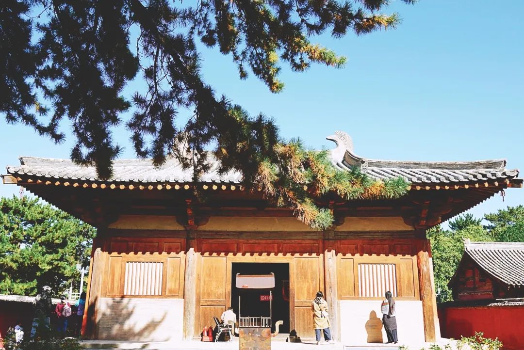  BIFudanMBA：MBAer極光劇場 | 去旅行吧，打開你的細胞壁，感受時空之美