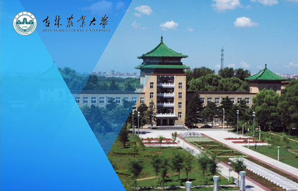吉林農(nóng)業(yè)大學MBA